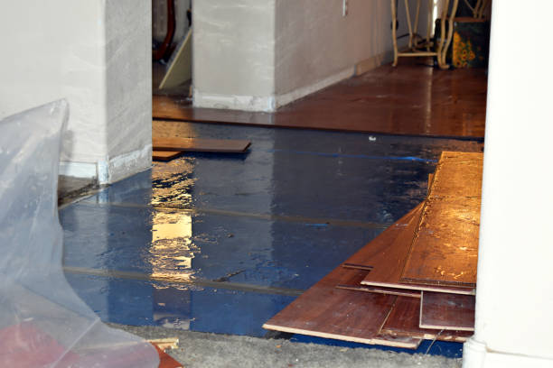 Professional Basement Water Removal technician working in Cortland, NY